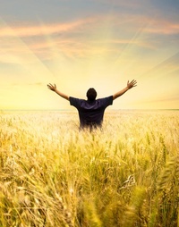 Picture for Balance Your Life! package